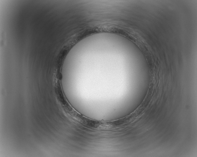 X0000073840599200608101029