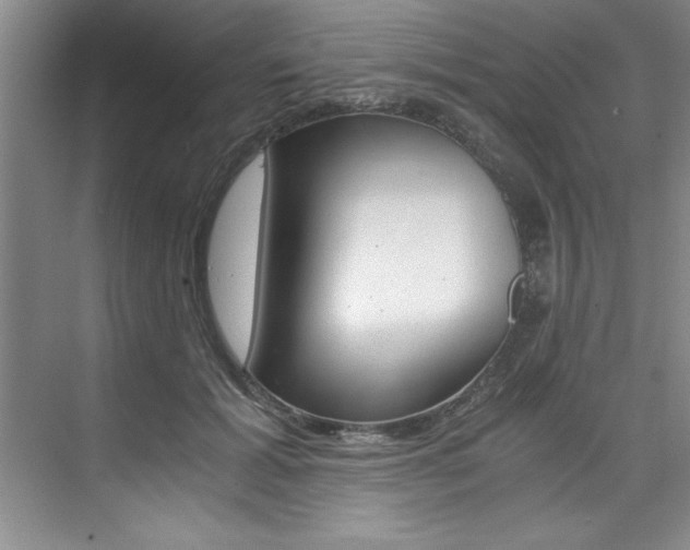 X0000073840605200608101029