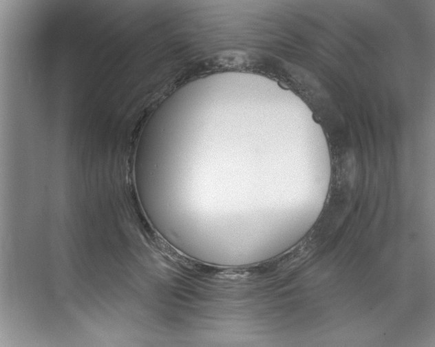 X0000073840606200608101029