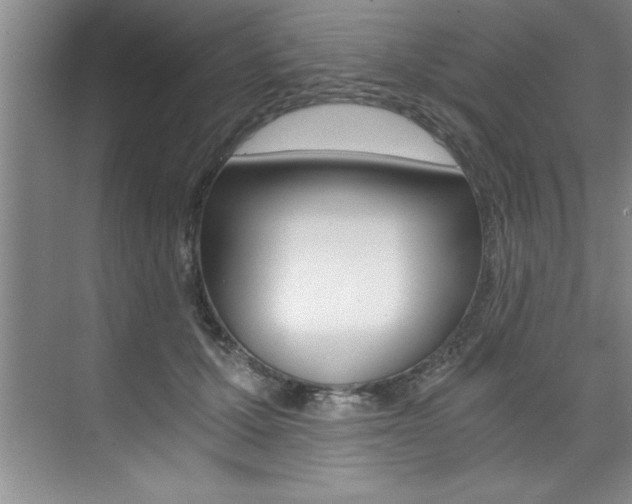 X0000073840607200608101029