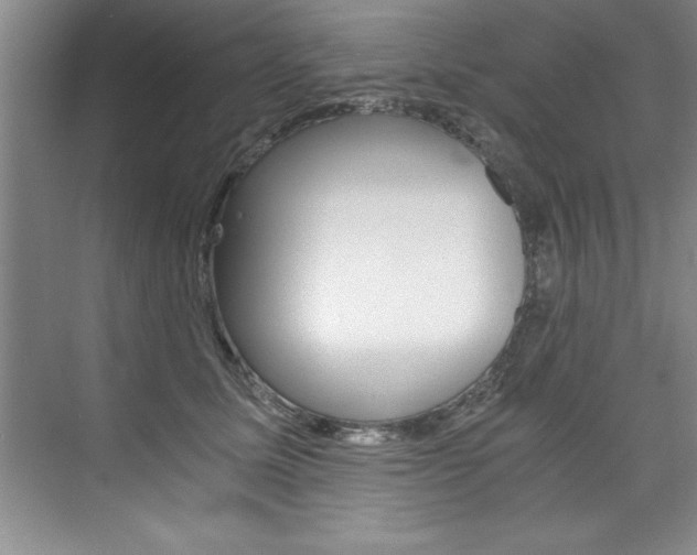 X0000073840611200608101029