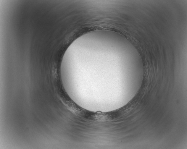 X0000073840615200608101029