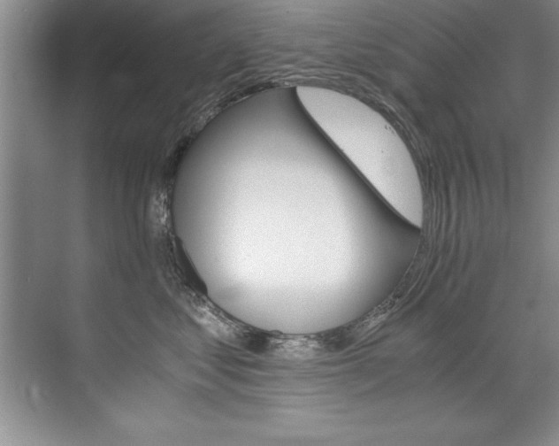 X0000073840621200608101029