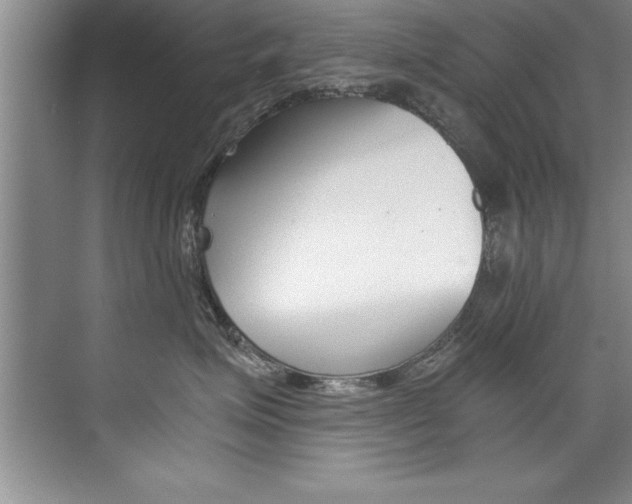 X0000073840623200608101029