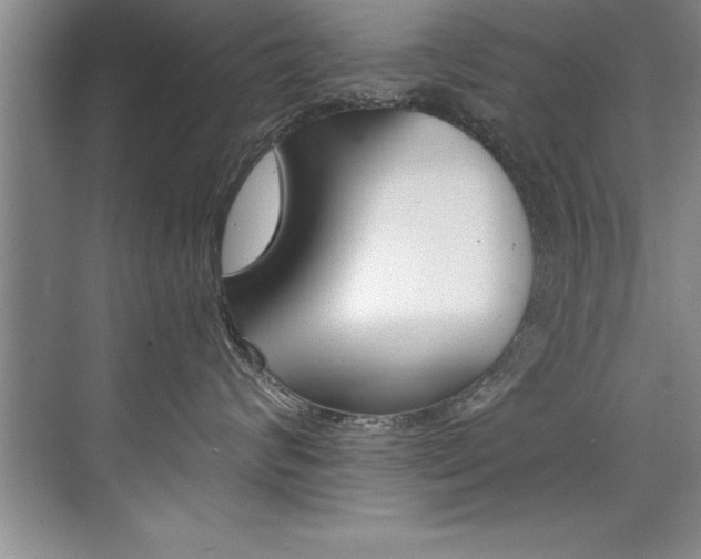 X0000073840624200608101029