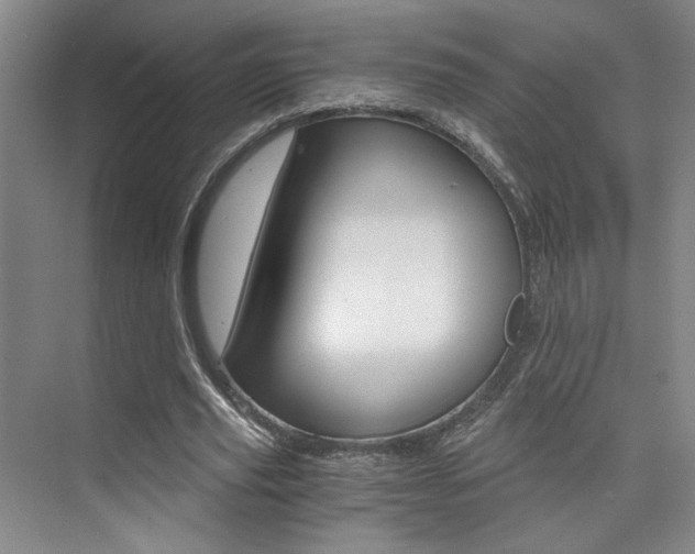 X0000073840629200608101028