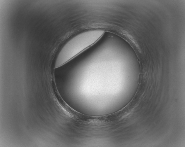 X0000073840633200608101028