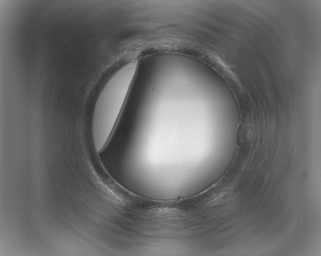 X0000073840637200608101028