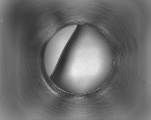 X0000073840638200608101028
