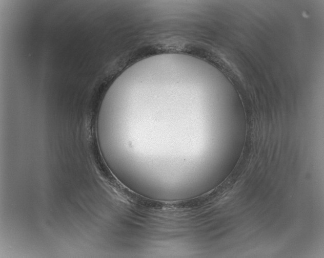 X0000073840641200608101028