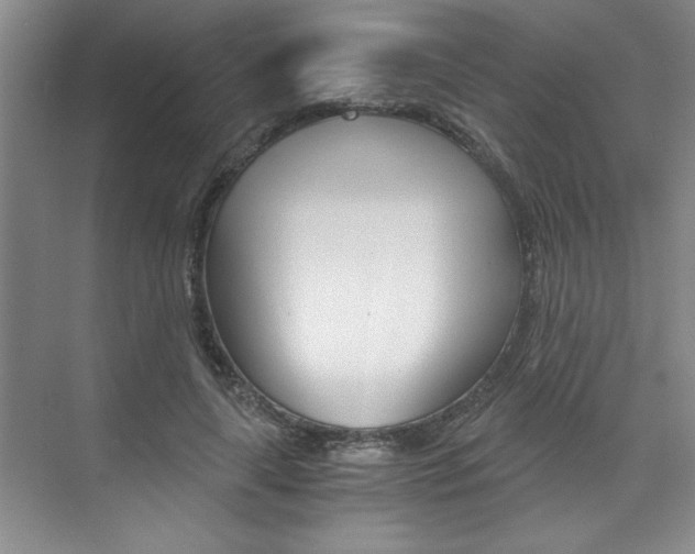 X0000073840643200608101028
