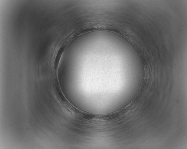 X0000073840648200608101028