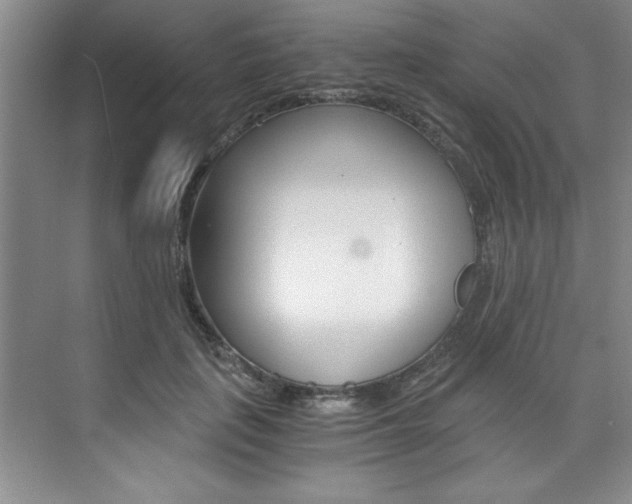 X0000073840651200608101028