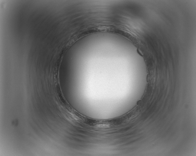 X0000073840653200608101028