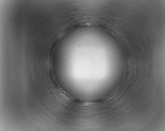 X0000073840657200608101028
