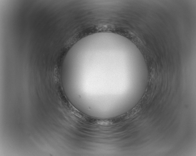 X0000073840659200608101028