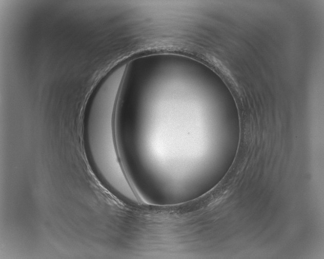 X0000073840673200608101028