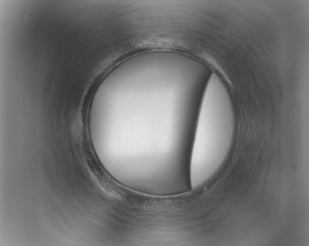 X0000073840674200608101028