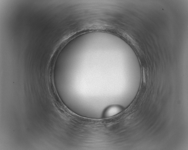 X0000073840675200608101028