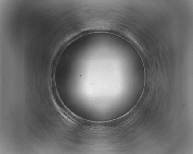X0000073840677200608101028