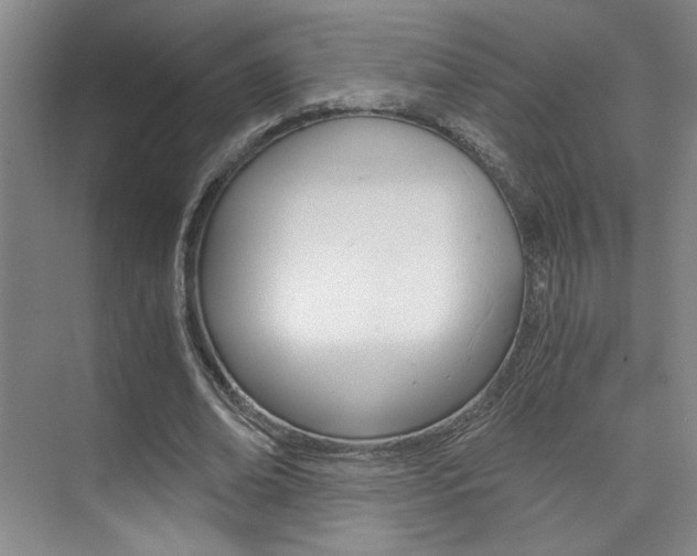 X0000073840678200608101028