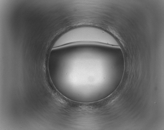 X0000073840681200608101028
