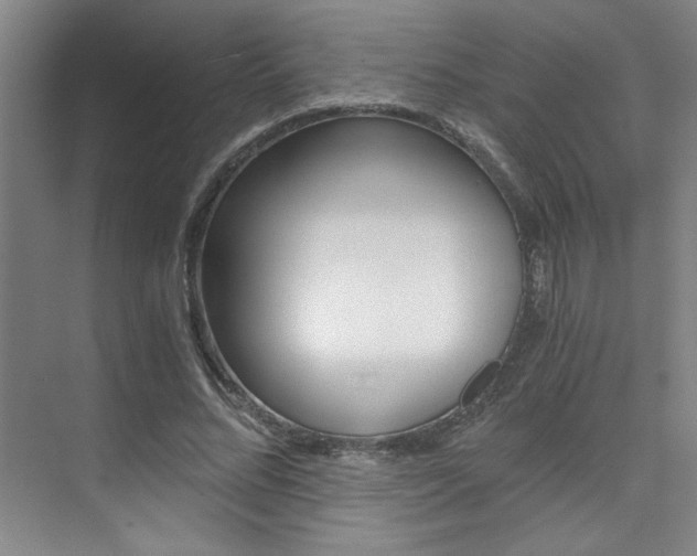 X0000073840684200608101028