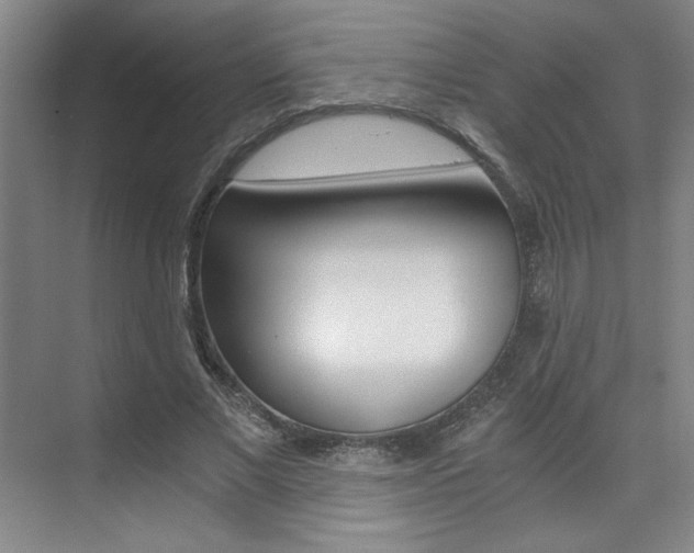 X0000073840685200608101028