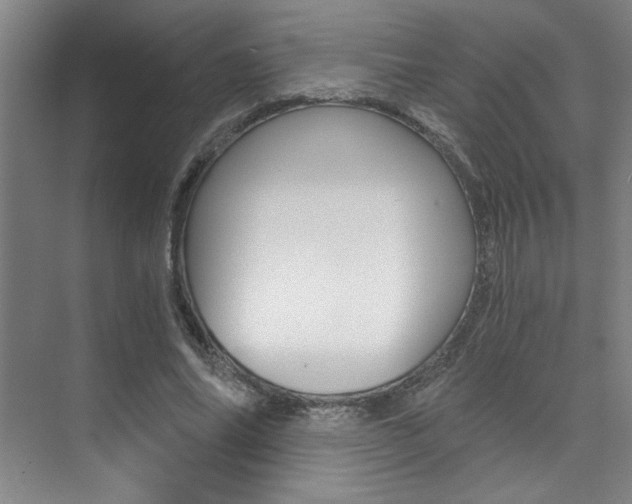 X0000073840686200608101028