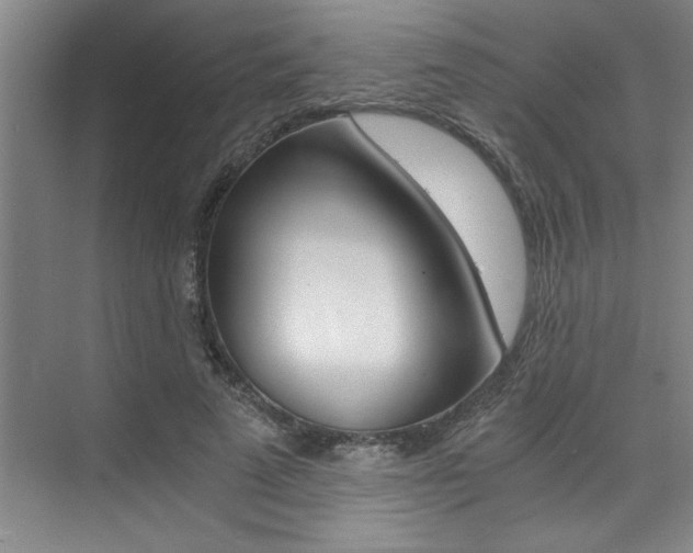 X0000073840689200608101028