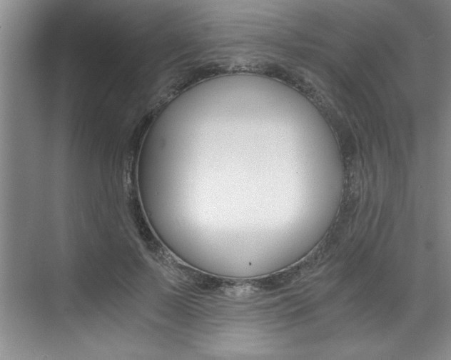 X0000073840695200608101028