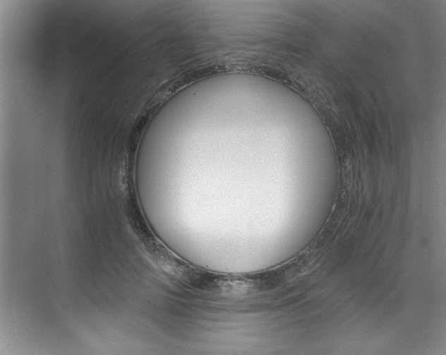 X0000073840698200608101027