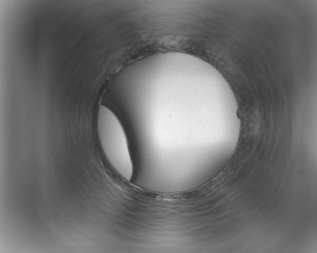 X0000073840706200608101027