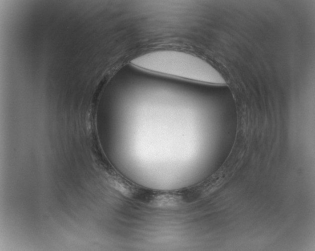 X0000073840708200608101027