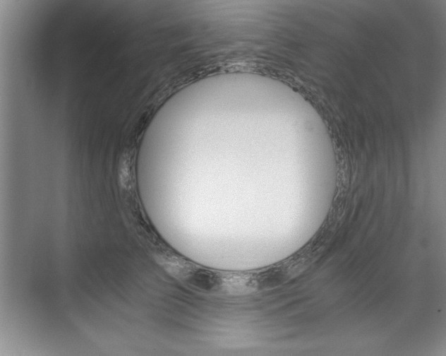 X0000073840709200608101027