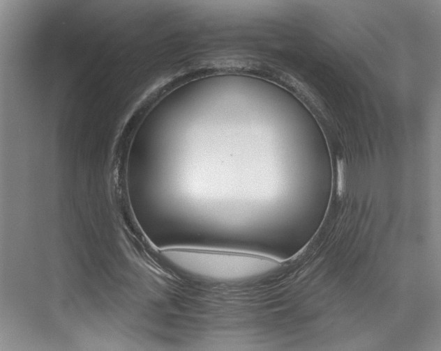 X0000073840723200608101026