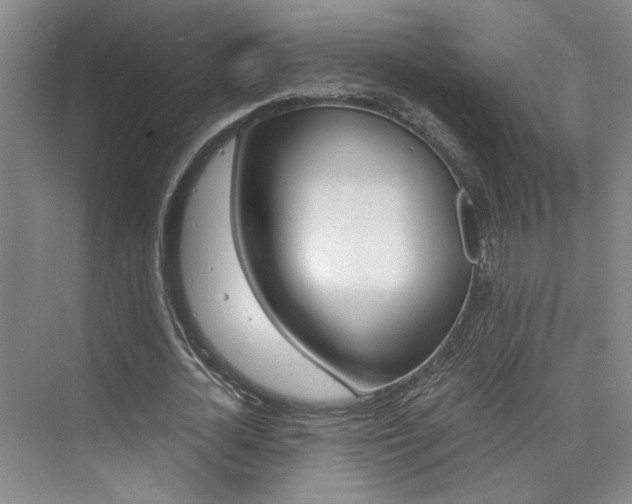 X0000073840724200608101026
