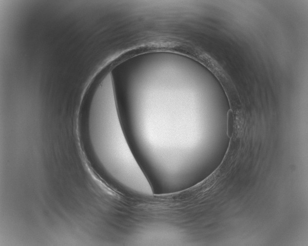 X0000073840726200608101026