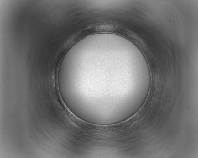 X0000073840729200608101026