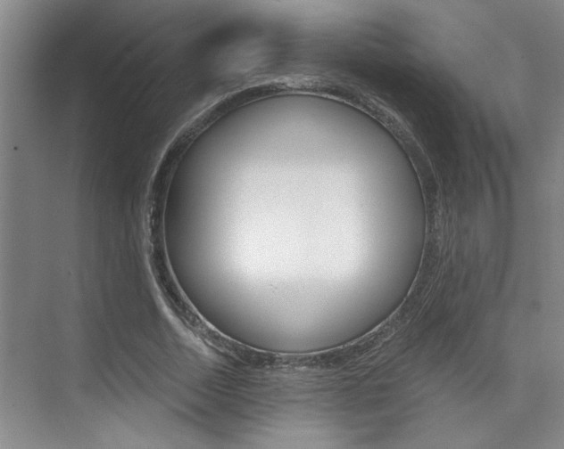 X0000073840730200608101026
