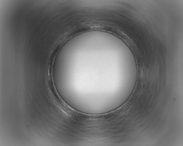 X0000073840733200608101026