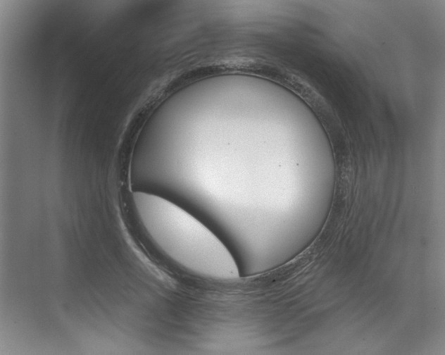X0000073840734200608101027