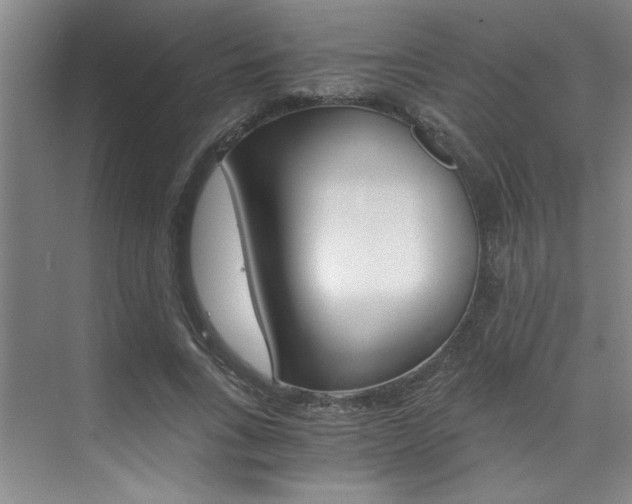 X0000073840735200608101027
