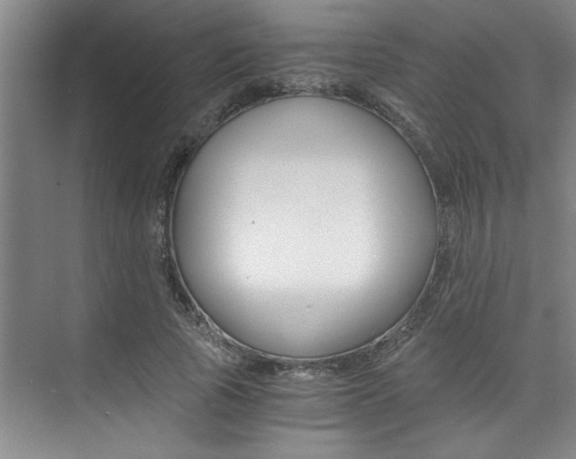 X0000073840737200608101027