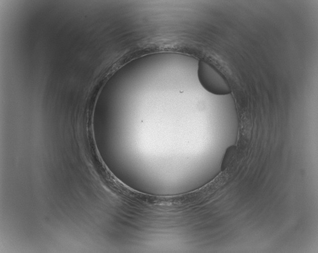 X0000073840740200608101027