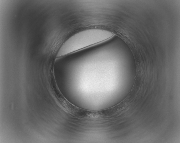 X0000073840742200608101027