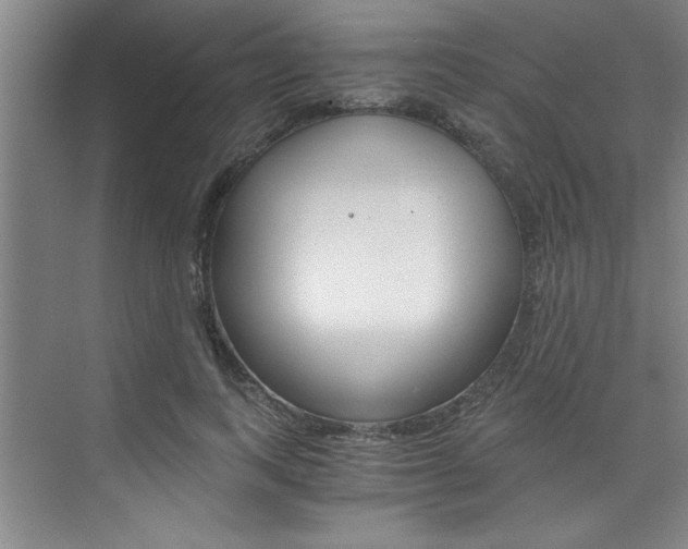 X0000073840743200608101027