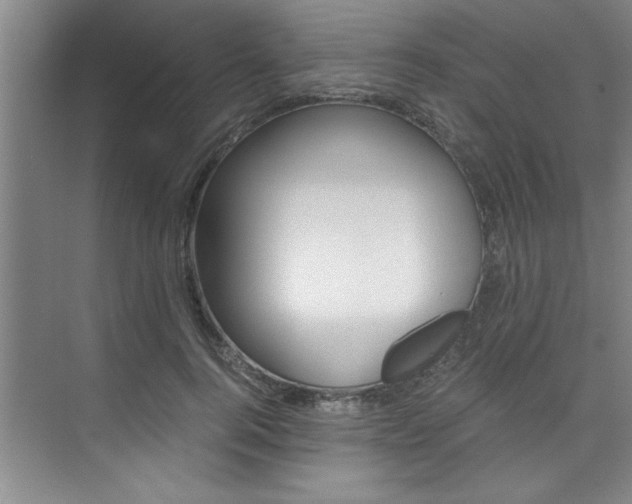 X0000073840744200608101027