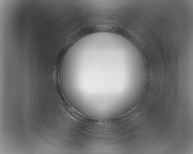 X0000073840745200608101027