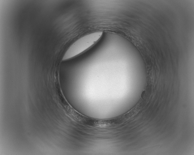 X0000073840746200608101027